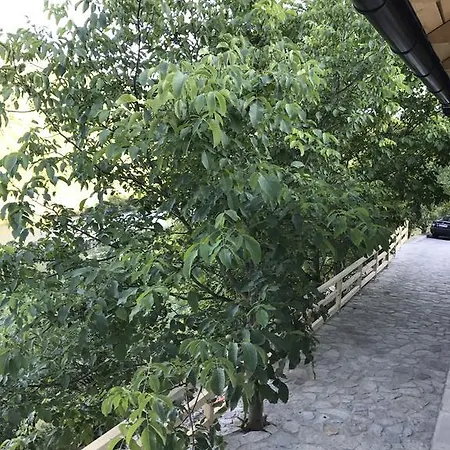 6 New River View Bihac